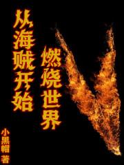 从海贼开始夺取世界本源