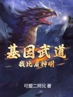 基因武道有声