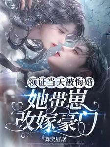 领了证才发现嫁错人军婚不能离txt