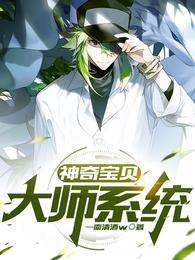 神奇宝贝之华丽大师