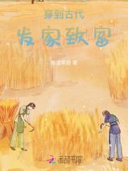 穿古代发家致富嫁将军的