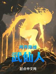 两界武凡起点