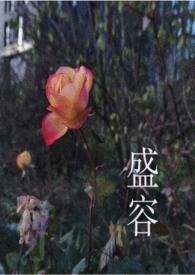 盛容(男强女更强) 作者灰堆