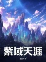 紫域网络