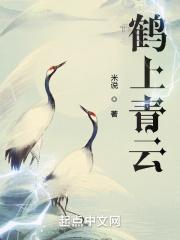云流鹤上仙