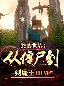 我的世界从游戏bug到魔王him