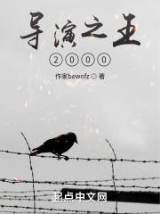 导演之王2000免费TXT