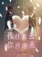 我往北走雁往南飞歌词