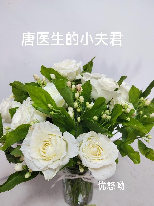 唐医生bkpp