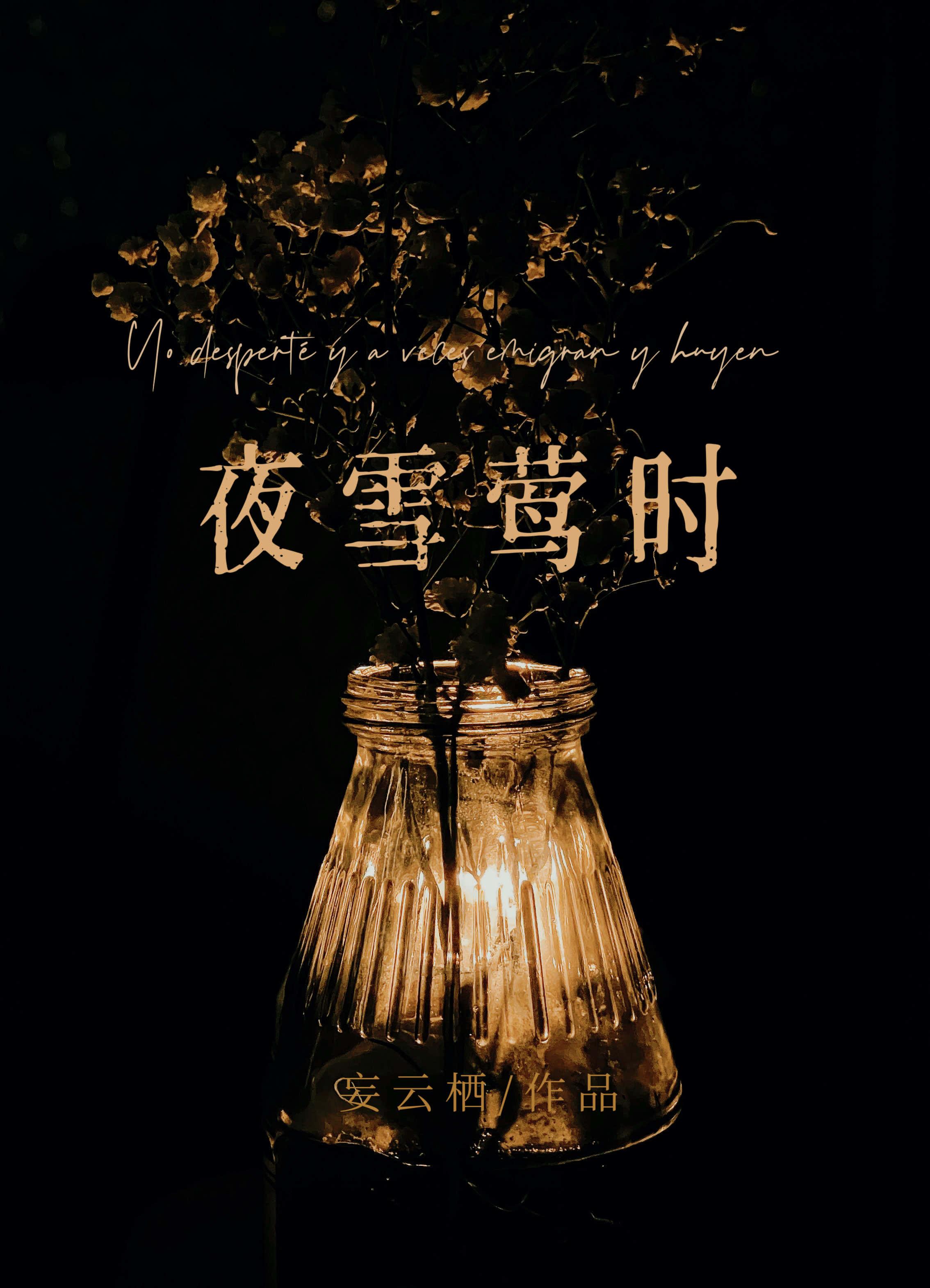 夜雪莺时免费