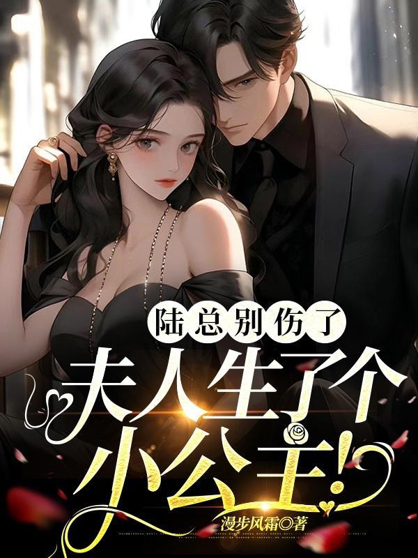 陆总夫人又闹离婚了