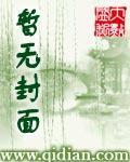 重生之西班牙国王