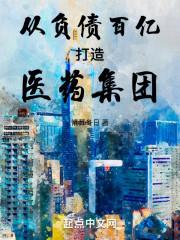 占全球投资的22.2%