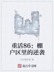 重活86棚户区里的逆袭 云中锦衣侯