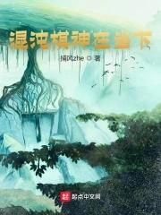 自创混沌棋盘武魂魂技