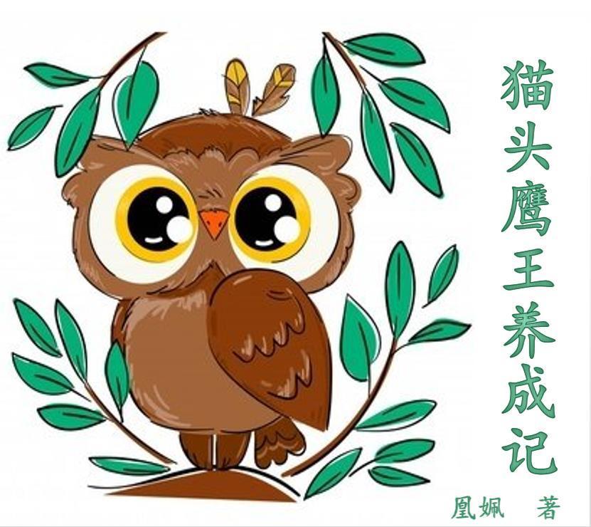 猫头鹰王国14