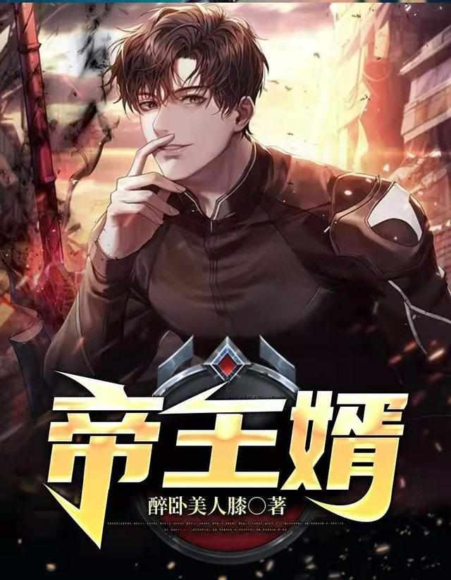 至尊龙婿