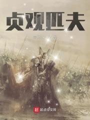 贞观什么将