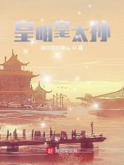 皇明皇太孙(我喜欢的猪头)