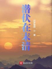 潜伏在大清 全文免费阅读