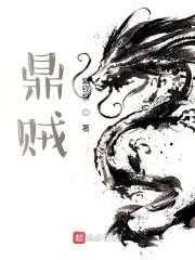 鼎贼TXT