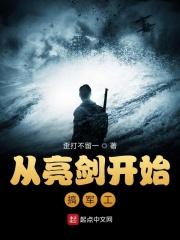 从亮剑开始的军火商
