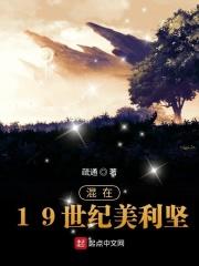 混在19世纪美利坚百度百科