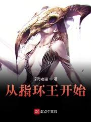 从指环王开始飞卢