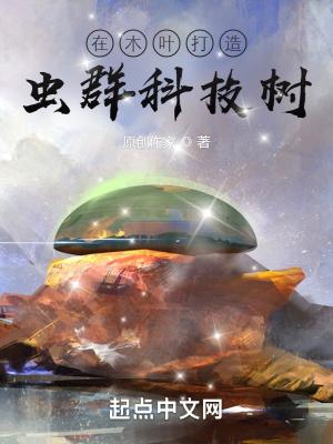 木叶村科技水平