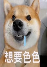 就她青梅竹马