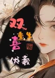 双喜人生全文免费阅读