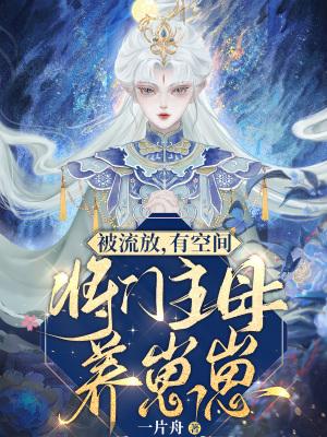 被流放的将军