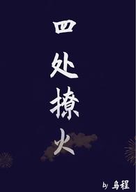 四处撩火乌程笔趣阁