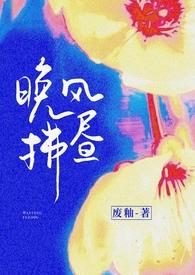 晚风拂昼(先婚后爱)作者废釉笔趣阁