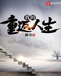 我的重返人生七八中文网