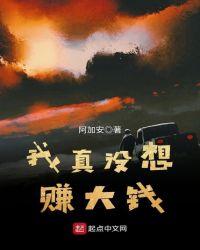 我真的没想赚钱啊全集