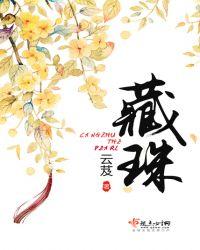 藏玉纳珠男主是谁