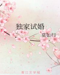 独家试婚by莫如归书包