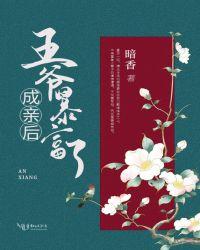 成亲后王爷暴富了谁当皇上