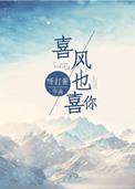 你喜欢风