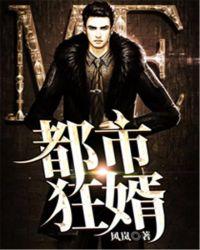 都市狂婿归来TXT