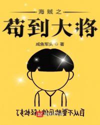 海贼之苟到大将人物介绍