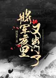 将军半夜又出门了