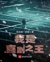 喜剧之王的简介