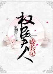 权臣夫人的进阶指南
