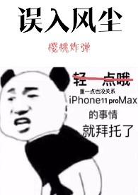 误入风尘的爱情讲什么