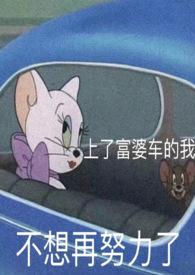 甜蜜的味道电视剧