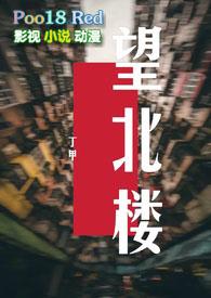 望北楼全文在线阅读