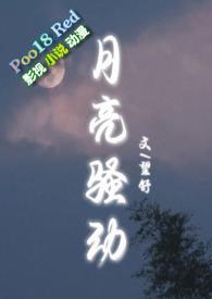月亮骚动(py转正 1v1h)最新章节