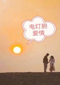 电灯胆爱情金叶子 笔趣阁